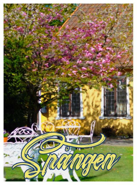 Spangens Gastgivaregard Inn Ljungbyhed Extérieur photo